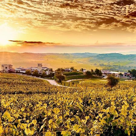 Zornitza Family Estate Relais & Chateaux メルニック エクステリア 写真
