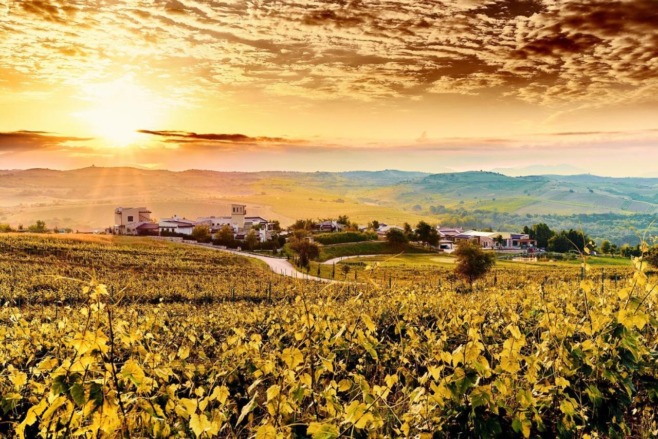 Zornitza Family Estate Relais & Chateaux メルニック エクステリア 写真